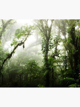 Load image into Gallery viewer, Cloud Forest Tapestry Wall Hanging Art Decor