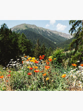 Load image into Gallery viewer, Mountain garden Tapestry Wall Hanging Art Decor
