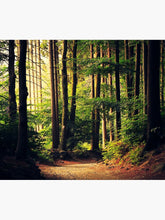 Load image into Gallery viewer, Woods Are Calling Tapestry Wall Hanging Art Decor