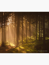 Load image into Gallery viewer, Morning forest Tapestry Wall Hanging Art Decor
